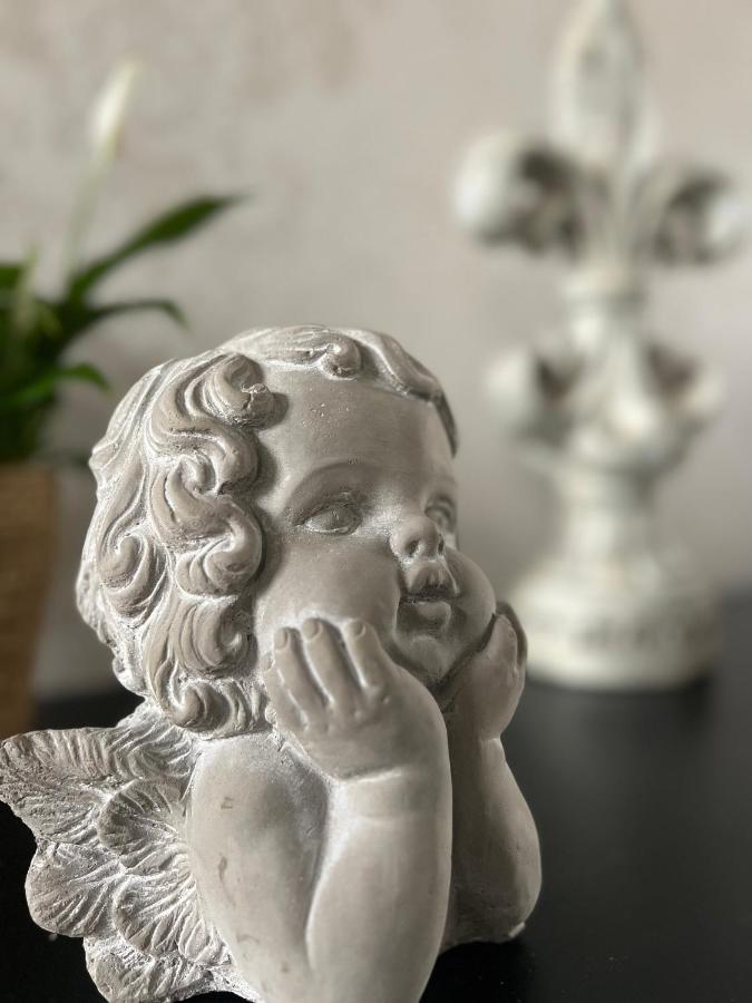 Domaine Des Anges Panzió Avesnes-sur-Helpe Kültér fotó